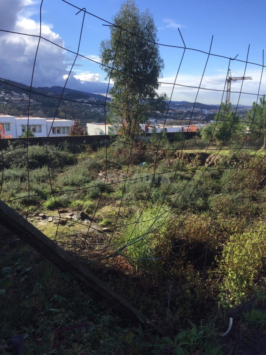 Lote-em-Banda-com-Terreno-em-Gualtar-1