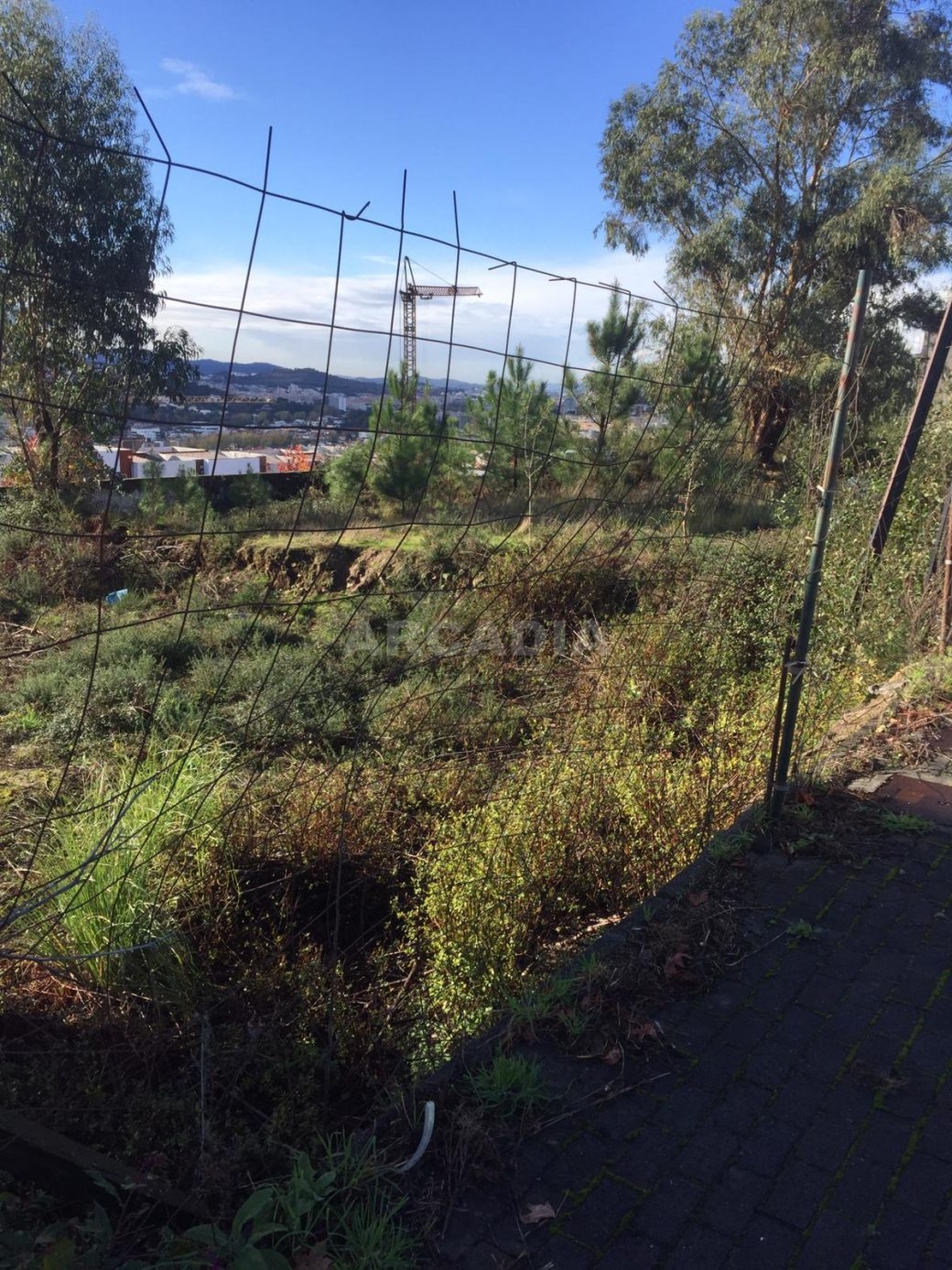 Lote-em-Banda-com-Terreno-em-Gualtar-2