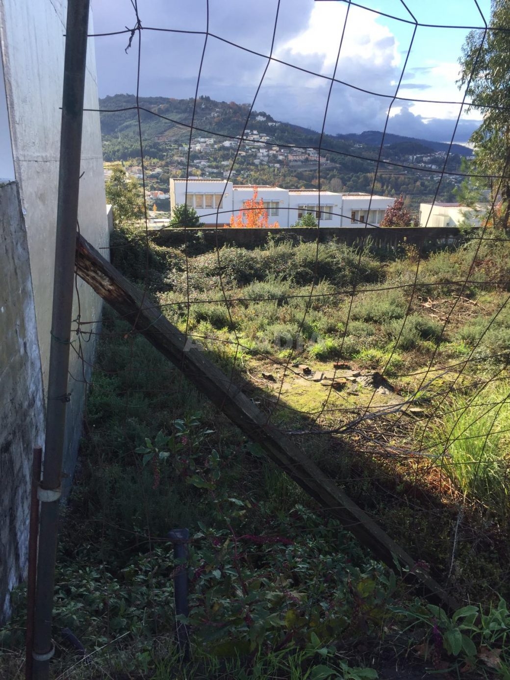 Lote-em-Banda-com-Terreno-em-Gualtar-3