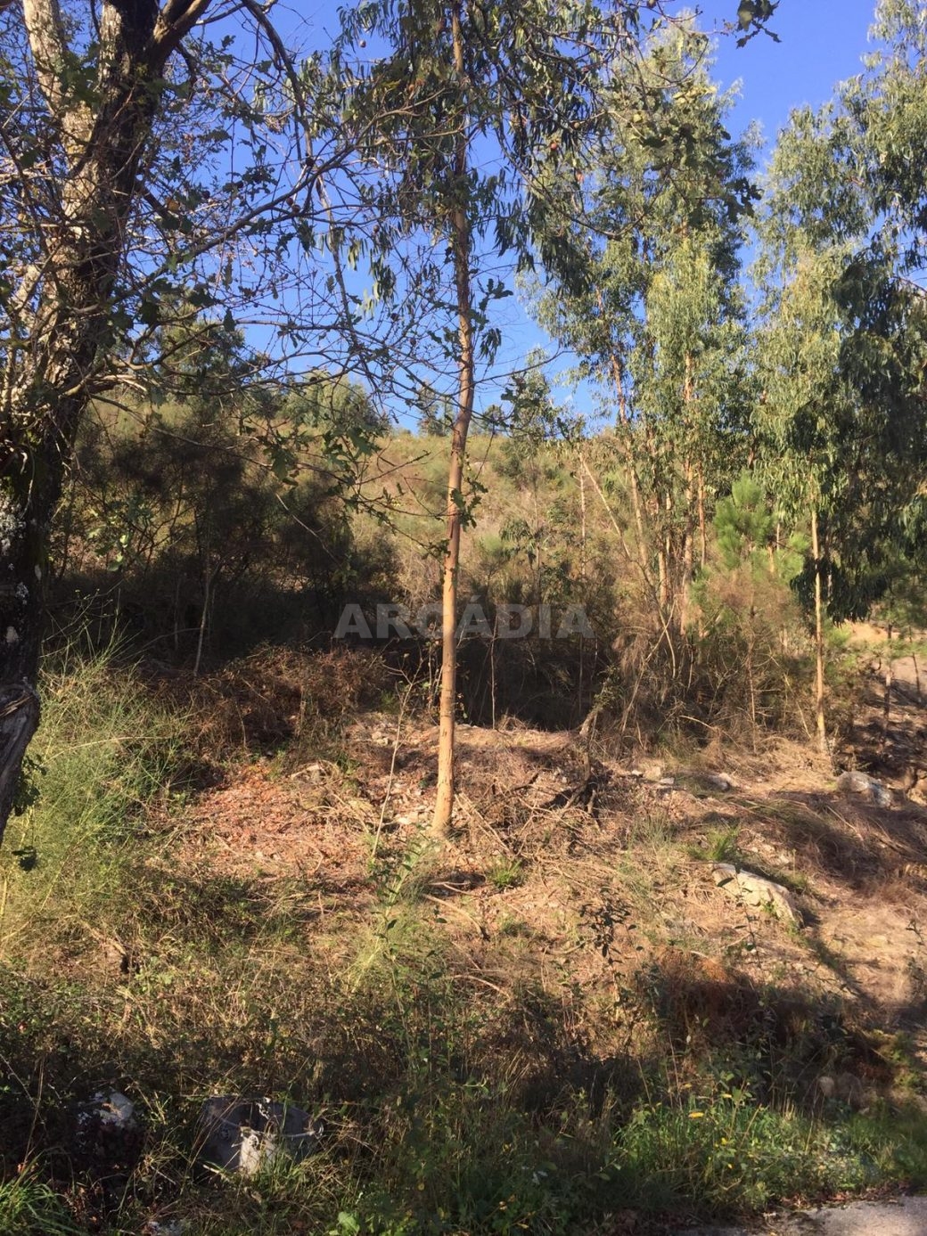 Lote-para-construcao-em-vila-verde-1