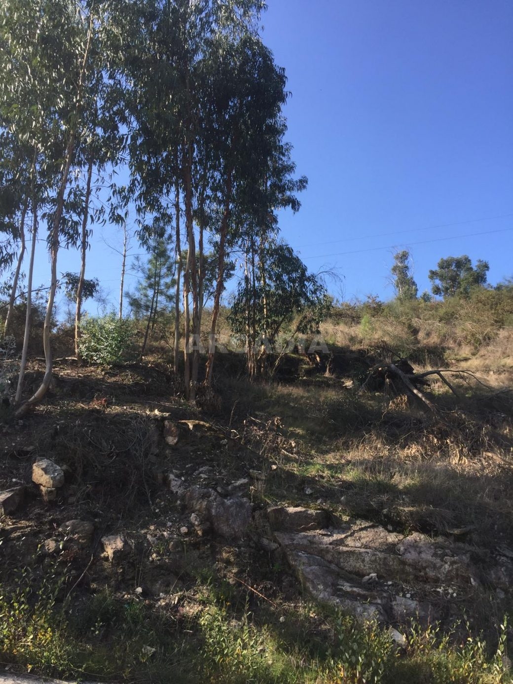Lote-para-construcao-em-vila-verde-3