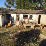 Moradia-T4-e-Armazem-em-Dume-terreno-5