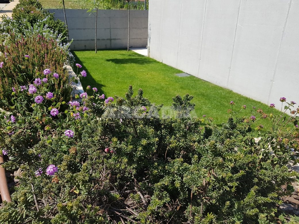 Moradia-Terrea-V4-em-Braga-Arcadia-Imobiliaria-exterior-jardim-vista-exterior