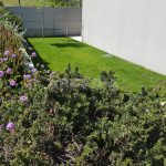 Moradia-Terrea-V4-em-Braga-Arcadia-Imobiliaria-exterior-jardim-vista-exterior